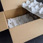 pulp dividers