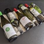 wine bottle pulp divider